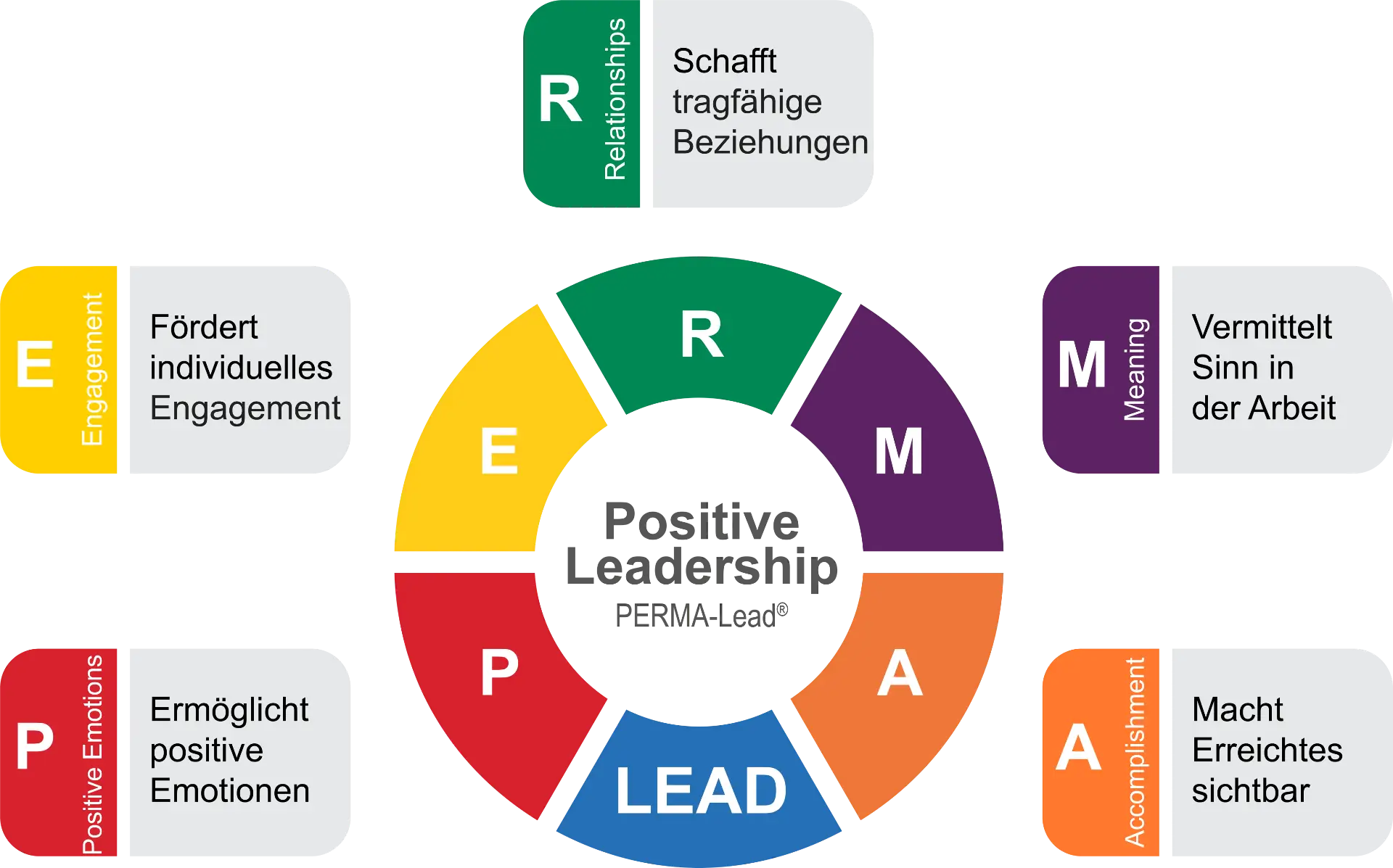PERMA-Lead® Abbildung der Beschreibung von den 5 Verhaltensankern